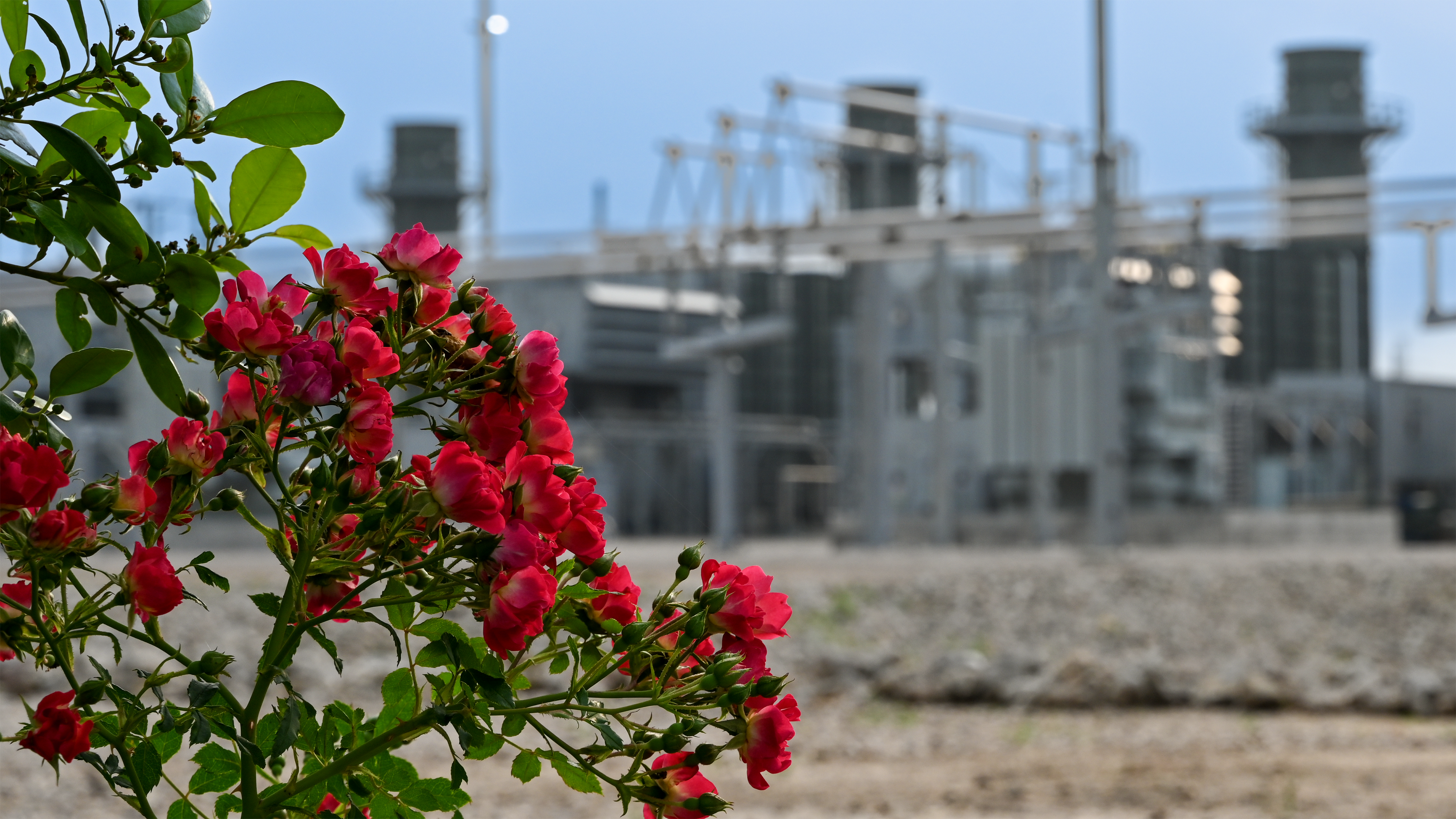 PEC23 HOC ESG Enviro